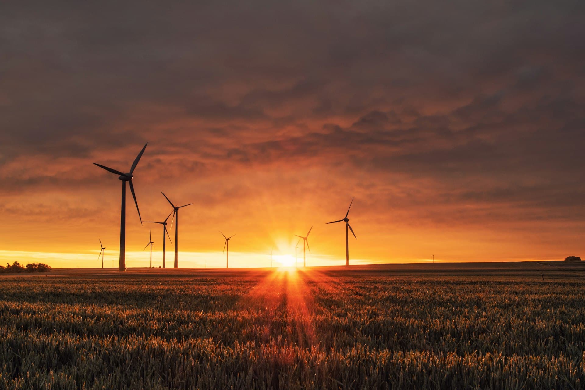 Wind turbines at sunset with solar panels